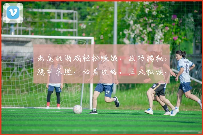 老虎机游戏轻松赚钱，技巧揭秘，稳中求胜，必看攻略，三大秘诀，轻松上手
