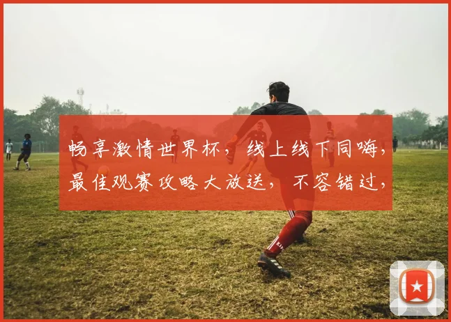 畅享激情世界杯，线上线下同嗨，最佳观赛攻略大放送，不容错过，精彩不停歇