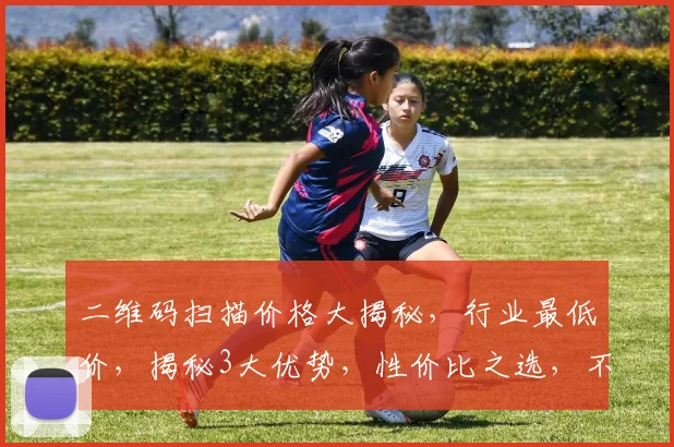 二维码扫描价格大揭秘，行业最低价，揭秘3大优势，性价比之选，不容错过