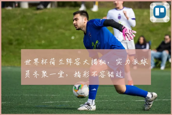 世界杯荷兰阵容大揭秘，实力派球员齐聚一堂，精彩不容错过