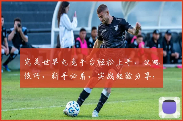 完美世界电竞平台轻松上手，攻略技巧，新手必看，实战经验分享，畅玩攻略